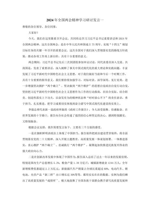 2024年全国两会精神学习研讨发言二.docx