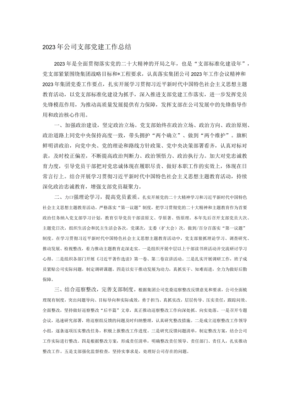 2023年公司支部党建工作总结(2).docx_第1页