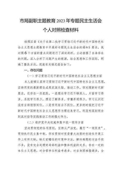 市局副职主题教育2023年专题民主生活会个人对照检查材料.docx