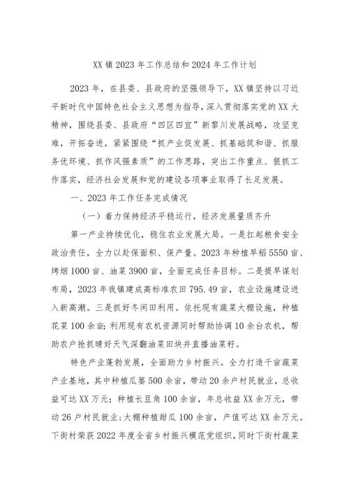 XX镇2023年工作总结和2024年工作计划.docx