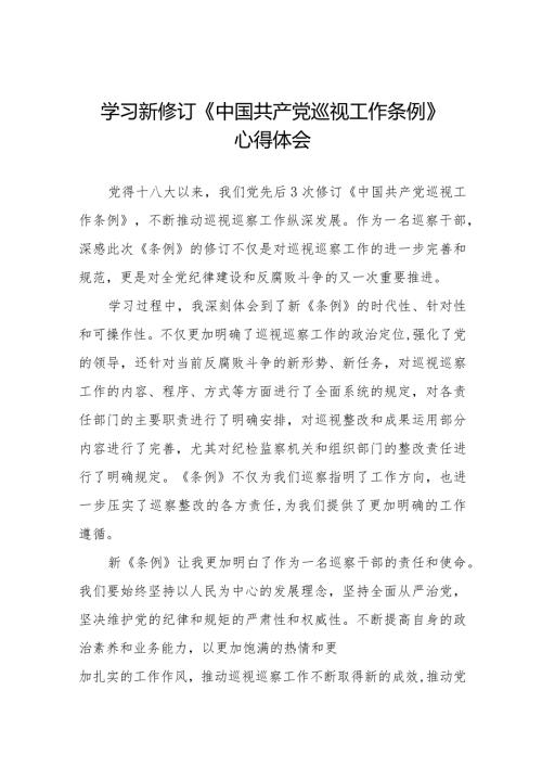 巡察干部学习2024版新修订《中国共产党巡视工作条例》心得体会十四篇.docx