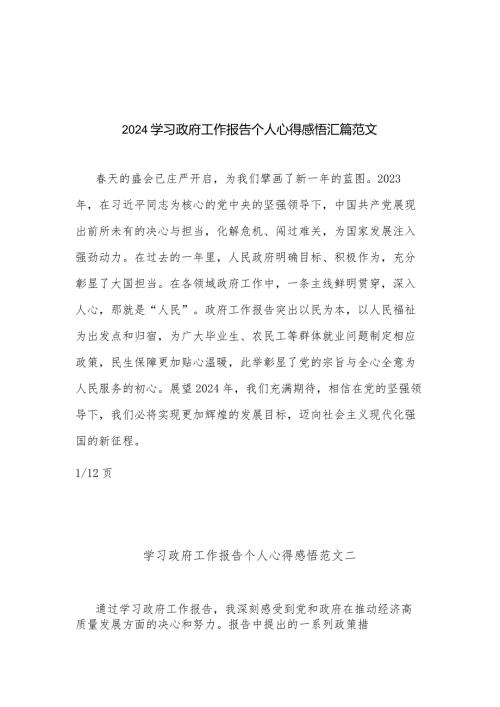 2024学习政府工作报告个人心得感悟汇篇范文.docx