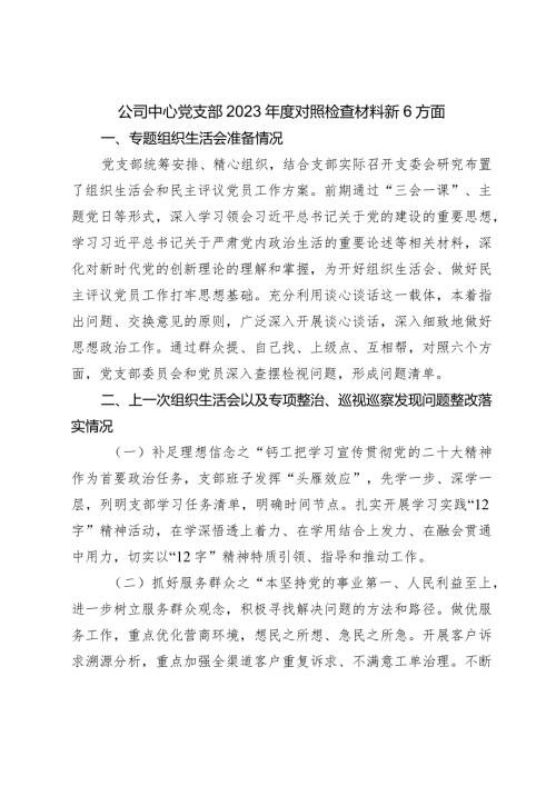 国企公司支部20232024班子对照检查材料（会前准备+上整改+践行宗旨等6个方面）.docx