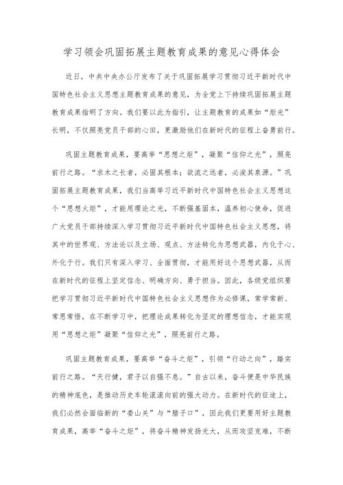 学习领会巩固拓展主题教育成果的意见心得体会.docx