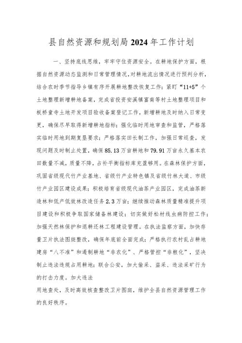 县自然资源和规划局2024年工作计划.docx