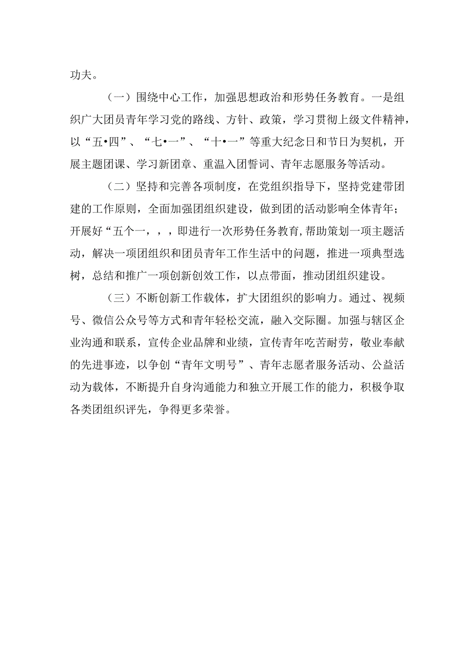 村2023团支部工作总结.docx_第2页
