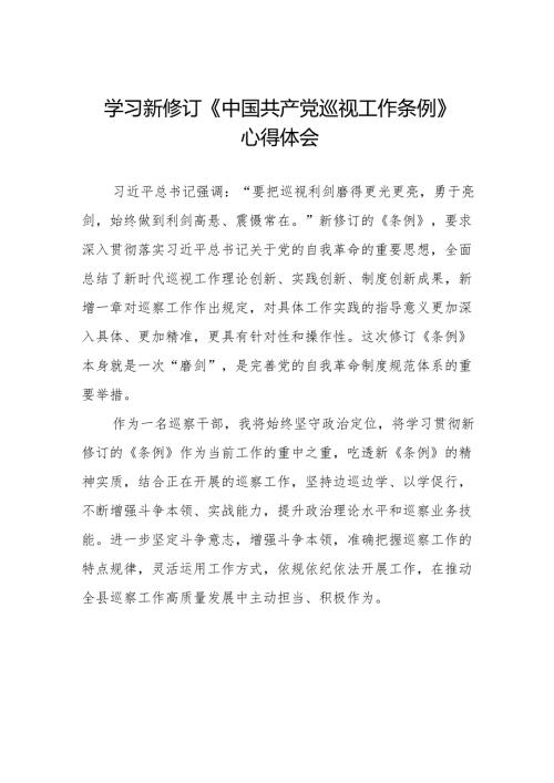 2024新修订中国共产党巡视工作条例》心得体会精品范文十四篇.docx