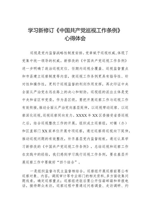 2024版新修订中国共产党巡视工作条例的学习心得体会11篇.docx