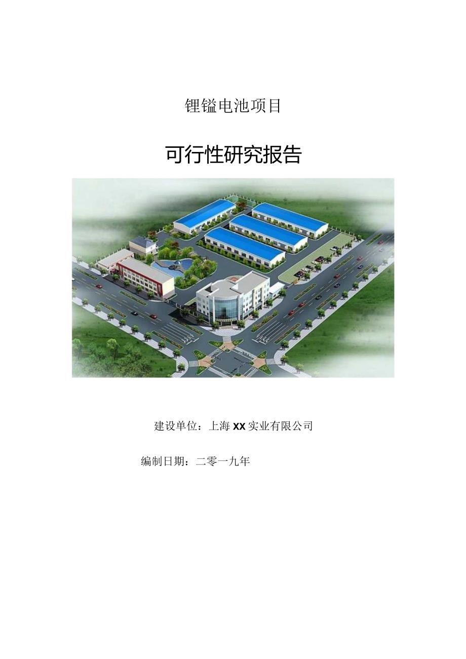 锂锰电池项目可行性研究报告【申请立项】.docx_第1页
