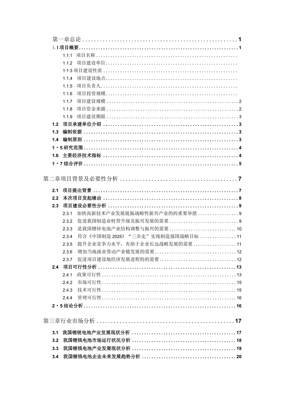 锂锰电池项目可行性研究报告【申请立项】.docx_第2页