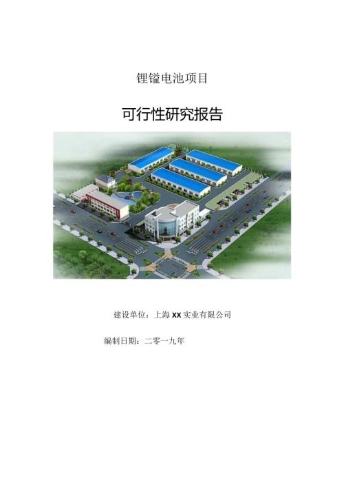 锂锰电池项目可行性研究报告【申请立项】.docx