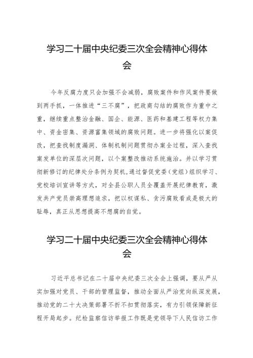 纪检监察干部学习贯彻二十中央纪委三次全会精神交流发言(25篇).docx