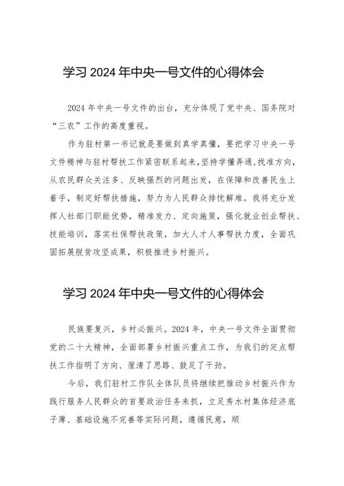 学习2024年中央一号文件的心得感悟22篇.docx