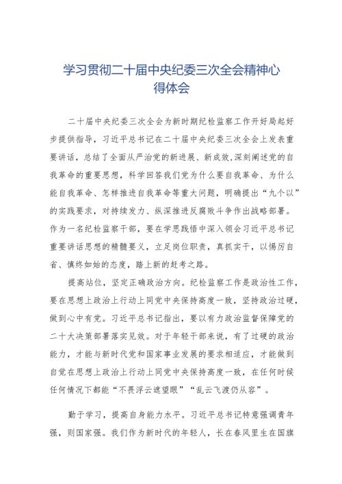 学习贯彻《二十中央纪委三次全会》精神心得体会十九篇.docx