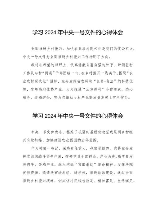 驻村干部关于学习中共中央 国务院关于学习运用“千村示范、万村整治”工程经验有力有效推进乡村全面振兴的意见心得体会交流发言十四篇.docx