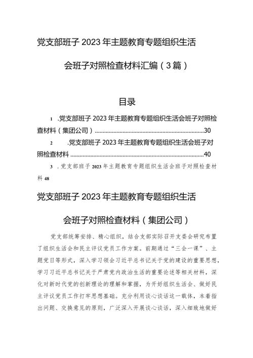 党支部班子2023年主题教育组织生活会班子对照检查材料汇编（3篇）.docx