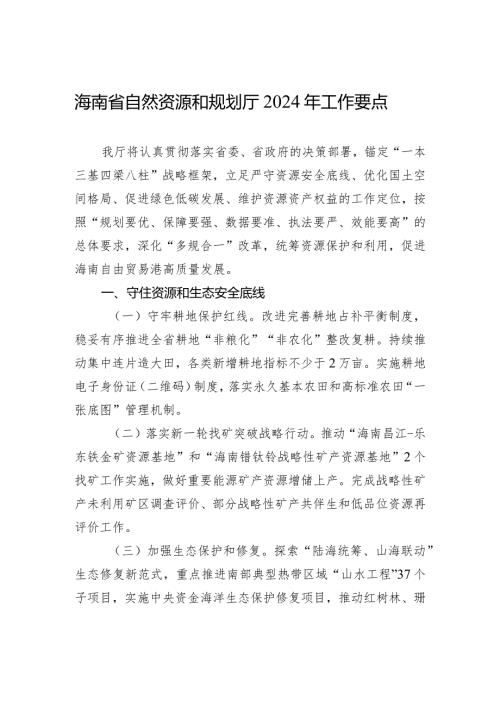 海南省自然资源和规划厅2024年工作要点(20240220).docx