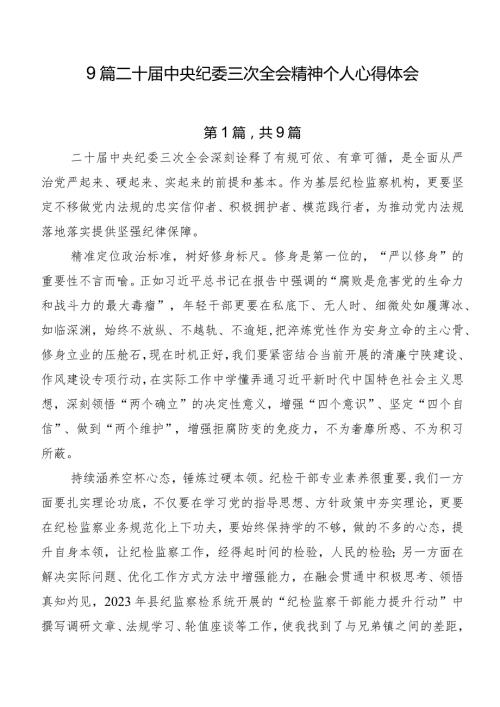 9篇二十中央纪委三次全会精神个人心得体会.docx