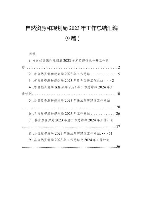 自然资源和规划局2023年工作总结汇编（9篇）.docx