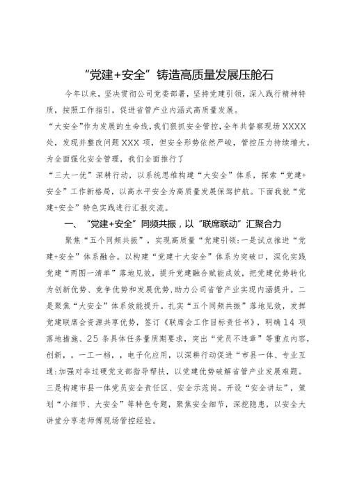 “党建＋安全”铸造高质量发展压舱石.docx