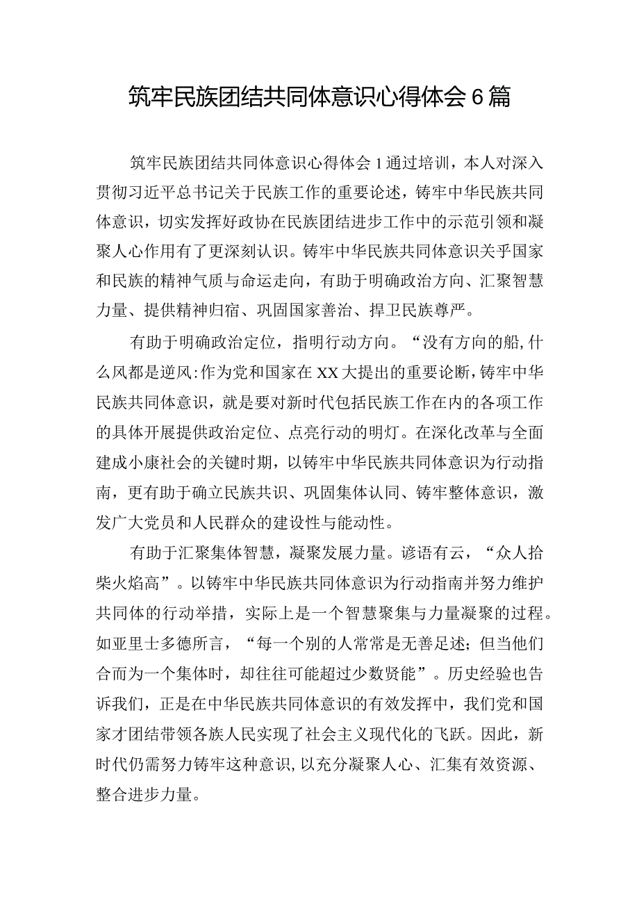 筑牢民族团结共同体意识心得体会6篇.docx_第1页