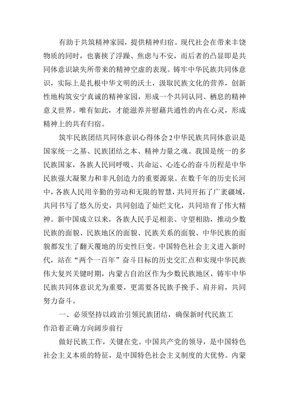筑牢民族团结共同体意识心得体会6篇.docx_第2页