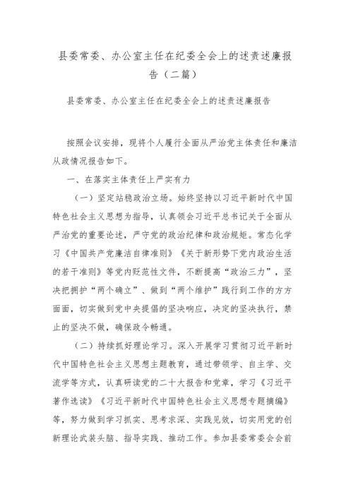 县委常委、办公室主任在纪委全会上的述责述廉报告(二篇).docx