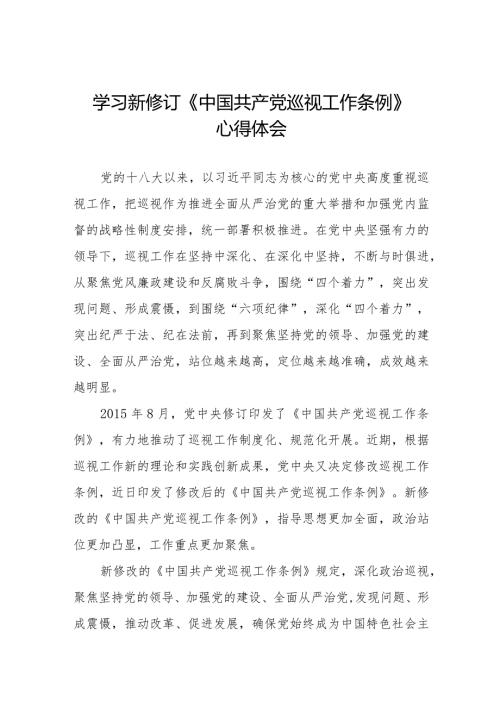 九篇学习贯彻2024版新修订中国共产党巡视工作条例的心得体会.docx