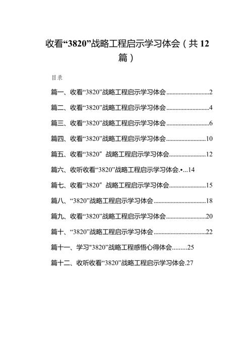 收看“3820”战略工程启示学习体会汇编12篇（精选版）.docx