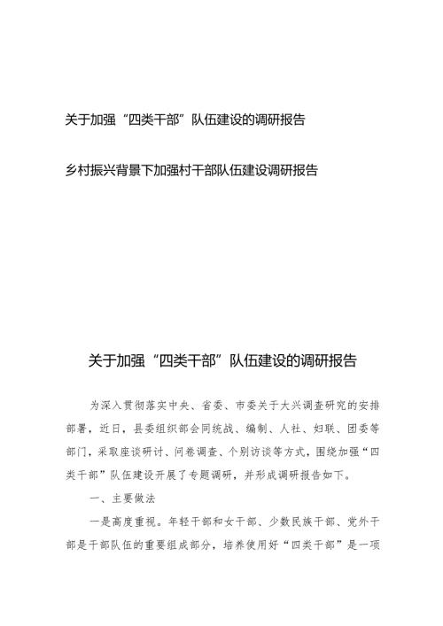 关于加强“四类干部”队伍建设的调研报告+乡村振兴背景下加强村干部队伍建设调研报告.docx