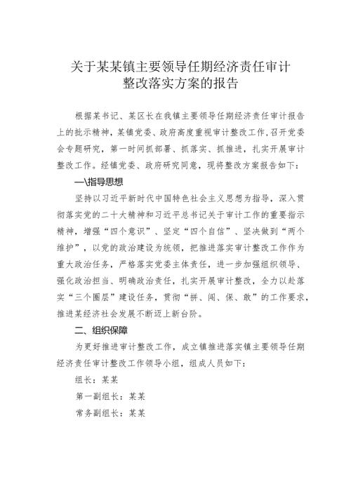 关于某某镇主要领导任期经济责任审计整改落实方案的报告.docx