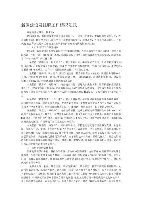 新区建设及挂职工作情况汇报(1).docx