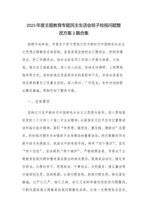 2023主题教育专题民主生活会班子检视问题整改方案2篇合集.docx