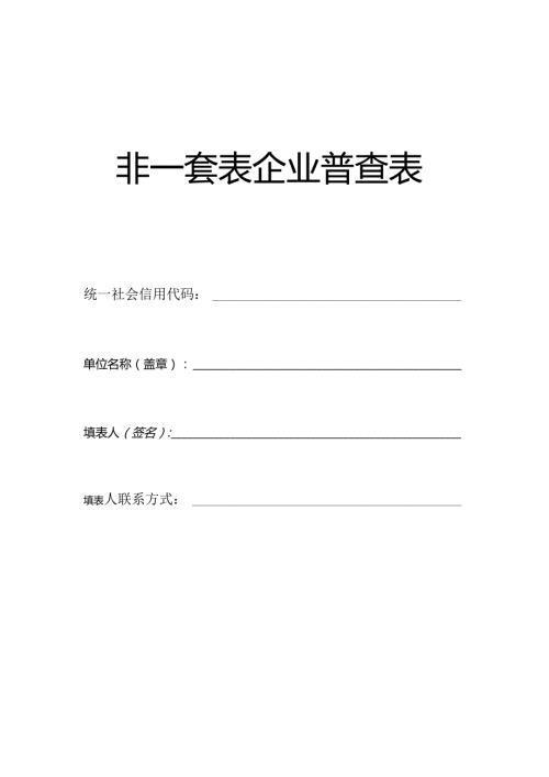 非一套表企业普查表.docx