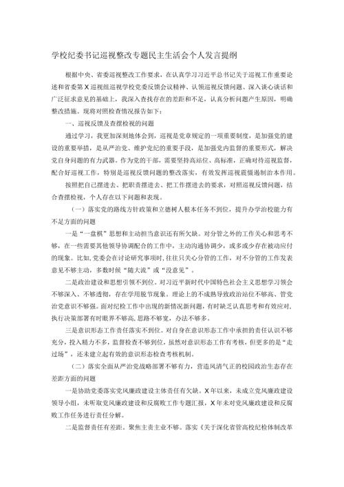 学校纪委书记巡视整改专题民主生活会个人发言提纲(1).docx