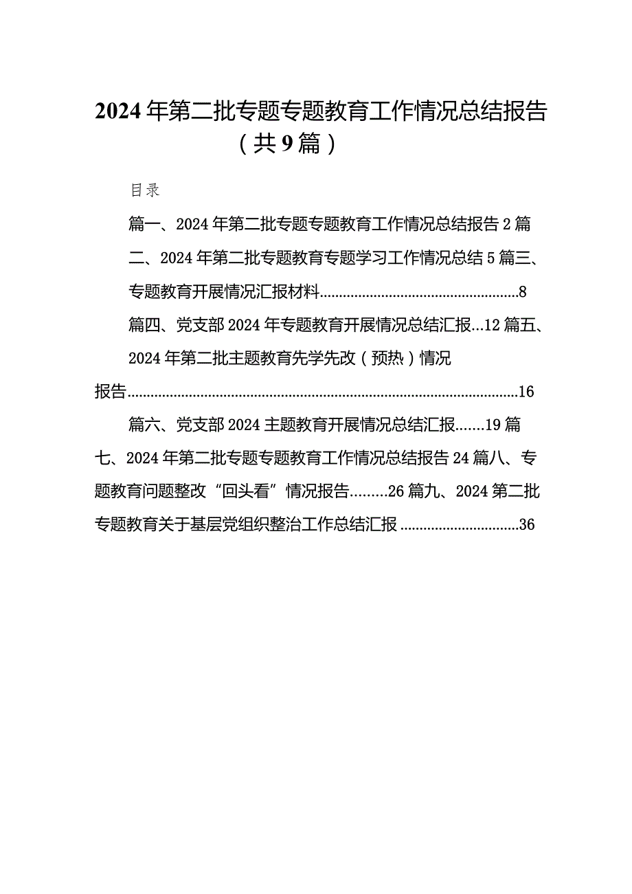 2024年第二批专题专题教育工作情况总结报告范文9篇（最新版）.docx_第1页