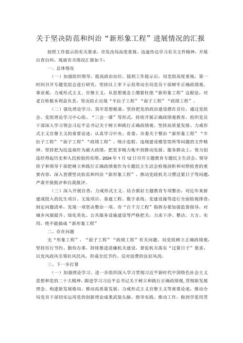 关于坚决防范和纠治“新形象工程”进展情况的汇报.docx