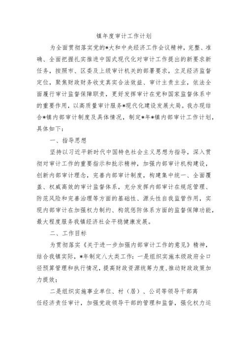 镇审计工作计划.docx