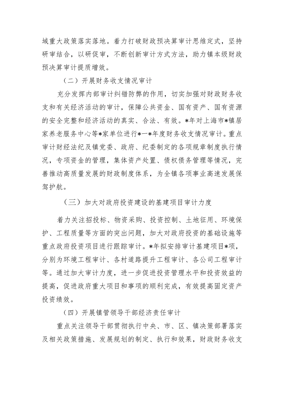 镇审计工作计划.docx_第3页