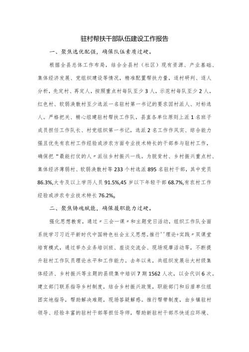 驻村帮扶干部队伍建设工作报告.docx
