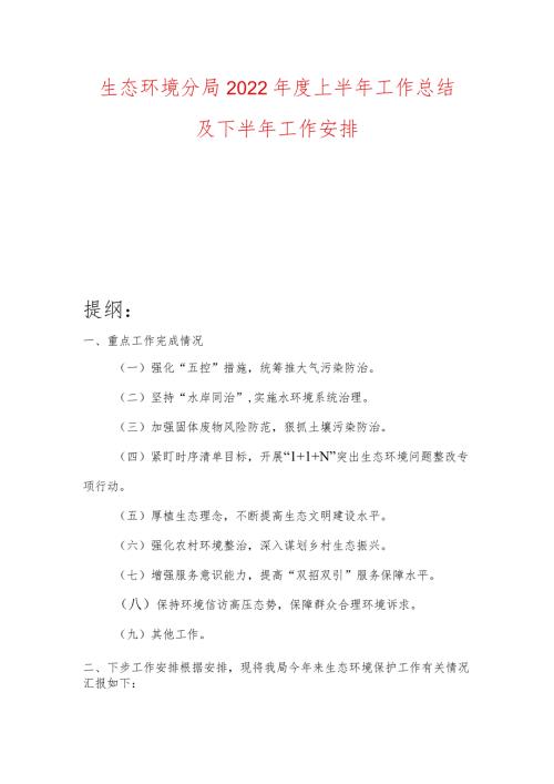 生态环境分局2022上半年工作总结及下半年工作安排.docx