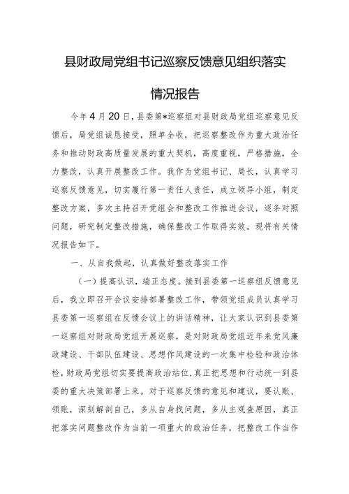 县财政局党组书记巡察反馈意见组织落实情况报告.docx