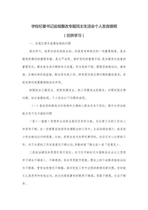学校纪委书记巡视整改专题民主生活会个人发言提纲.docx