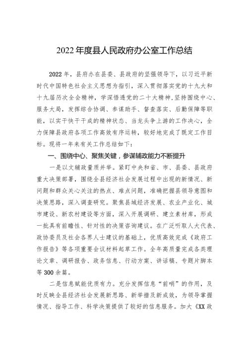 2022县人民政府办公室工作总结.docx