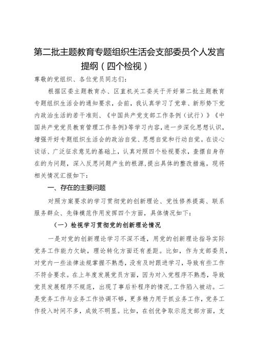 第二批主题教育专题组织生活会支部委员个人发言提纲（四个检视）.docx