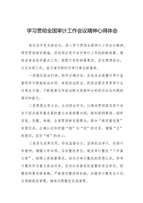 学习贯彻2024全国审计工作会议精神交流发言十四篇.docx