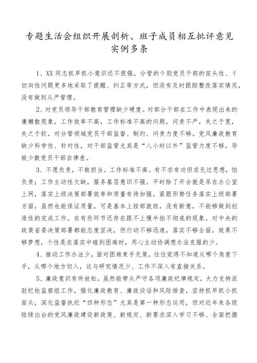 专题生活会组织开展剖析、班子成员相互批评意见实例多条.docx