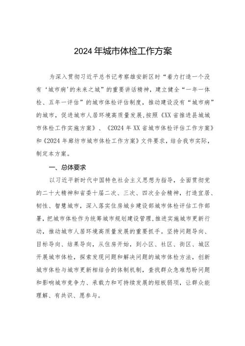 2024年市城市体检工作方案.docx