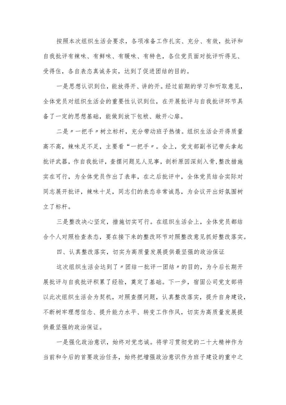 公司党支部组织生活会及民主评议党员开展情况报告.docx_第3页