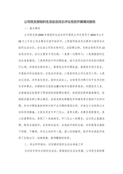 公司党支部组织生活会及民主评议党员开展情况报告.docx